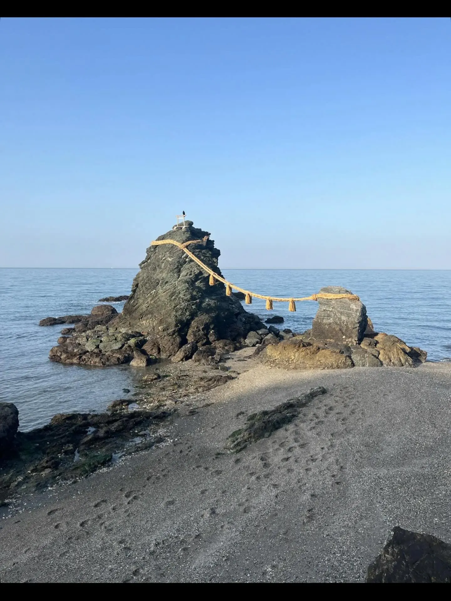 こんにちは、寺庄整骨院のスタッフです!