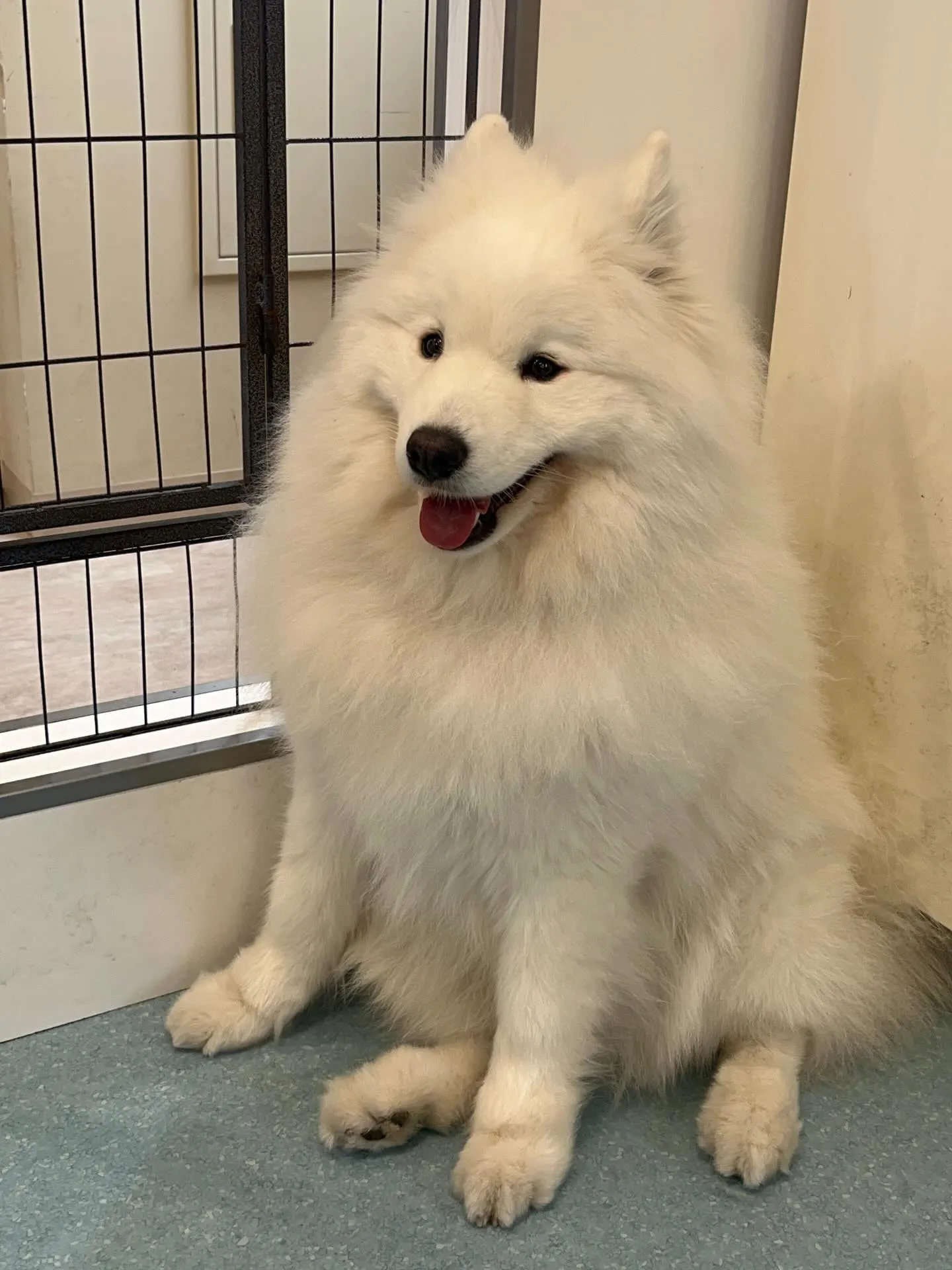 こんにちは!寺庄整骨院のスタッフです!