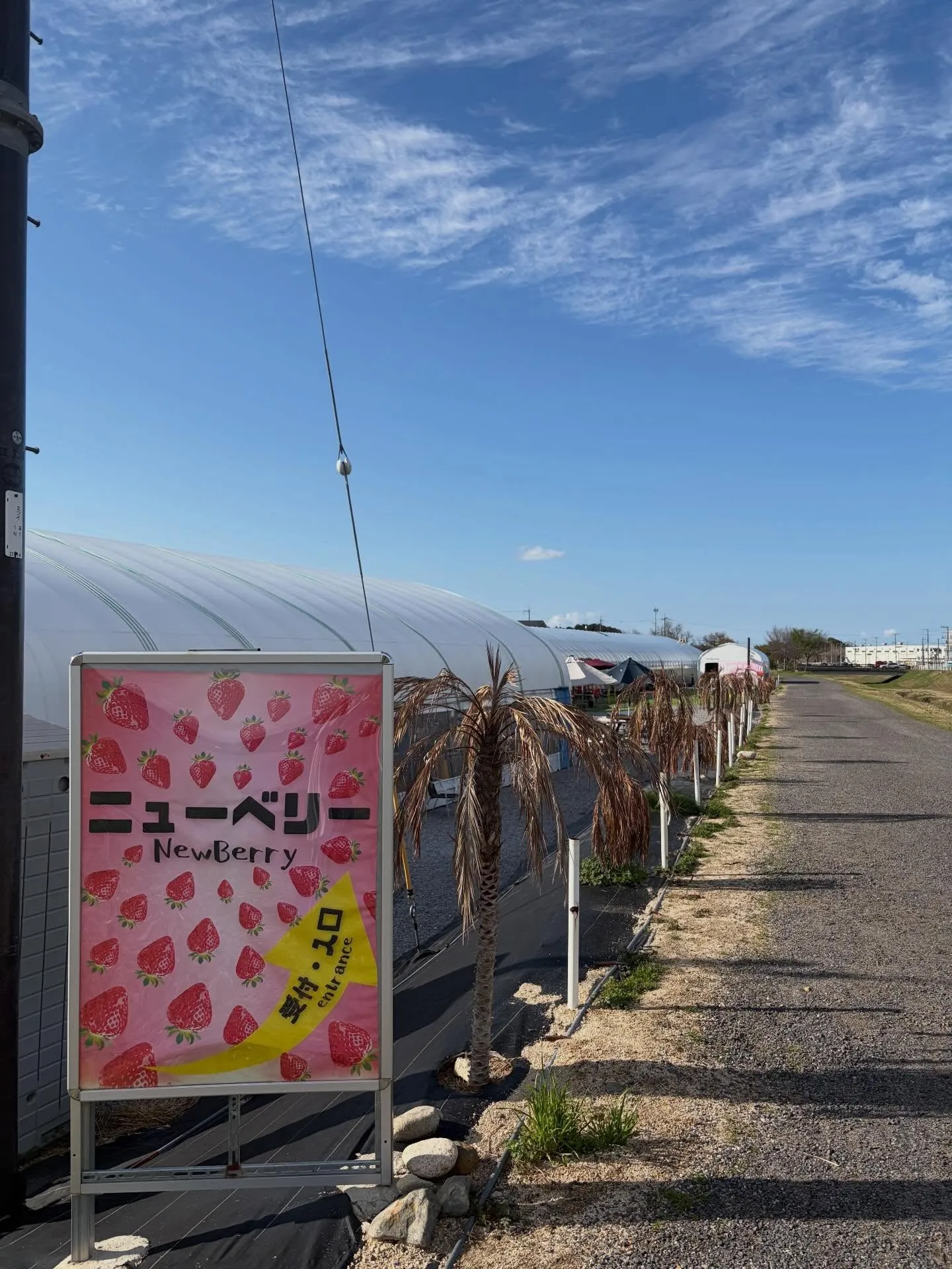 こんにちは!寺庄整骨院のスタッフで🙌🏻
