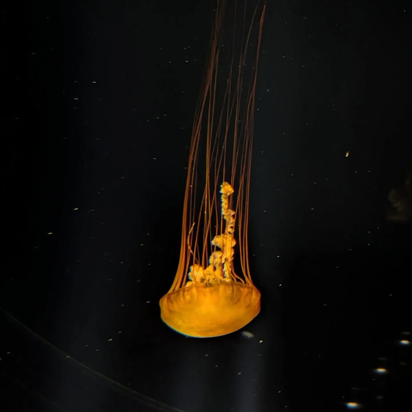 こんにちわ‼️