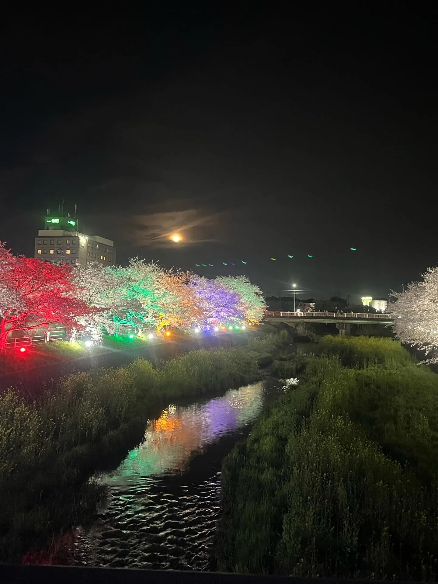 こんにちは!寺庄整骨院のスタッフです💁🏻♂️🍀