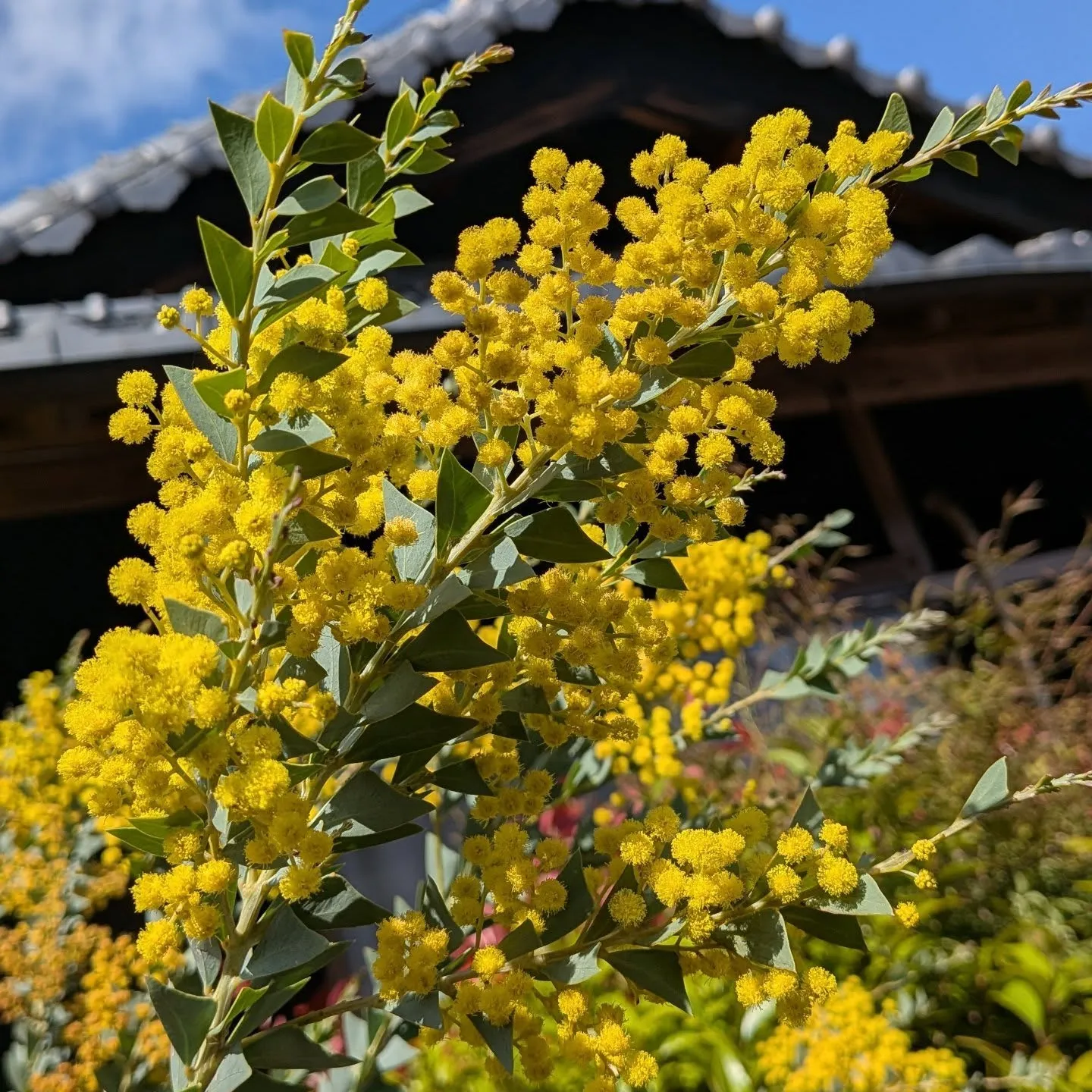 寺庄整骨院のスタッフです✨